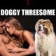 Doggy Threesome by Jezebel Rose Taboo Erotica Bestiality Dog Sex
