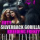 The Barn 27: Fifty Silverback Gorilla Breeding Frenzy, by Jezebel Rose