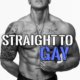 Straight to Gay by Jezebel Rose