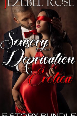 Sensory Deprivation Erotica 5 Story Bundle by Jezebel Rose