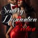 Sensory Deprivation Erotica 5 Story Bundle by Jezebel Rose