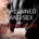 Unplanned Gang Sex New Edition by Jezebel Rose