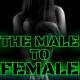 The Male to Female Curse by Jezebel Rose